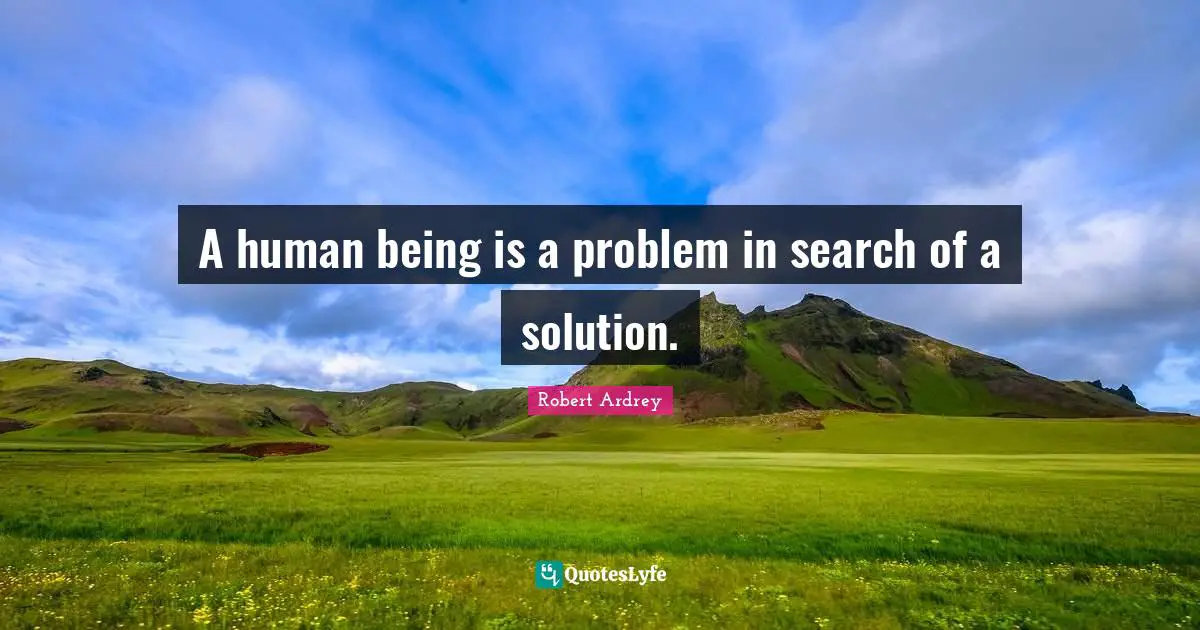 A human being is a problem in search of a solution.