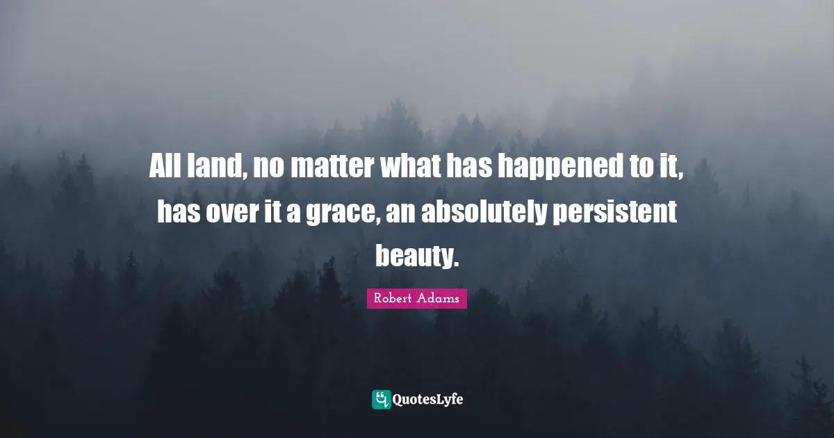 Robert Adams Quotes: "All land, no matter what has happened to it, has over it a grace, an absolutely persistent beauty."