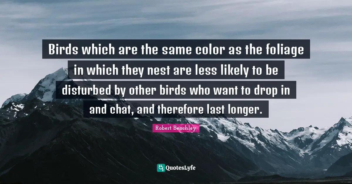 Birds which are the same color as the foliage in which they nest are less likely to be disturbed by other birds who want to drop in and chat, and therefore last longer.