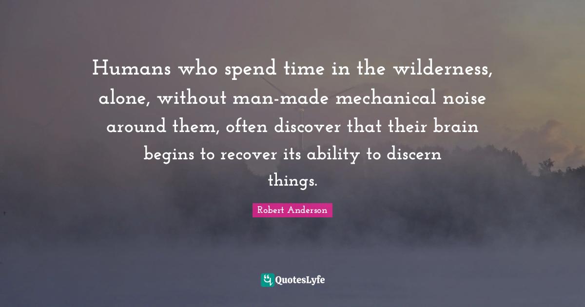 Humans who spend time in the wilderness, alone, without man-made mechanical noise around them, often discover that their brain begins to recover its ability to discern things.