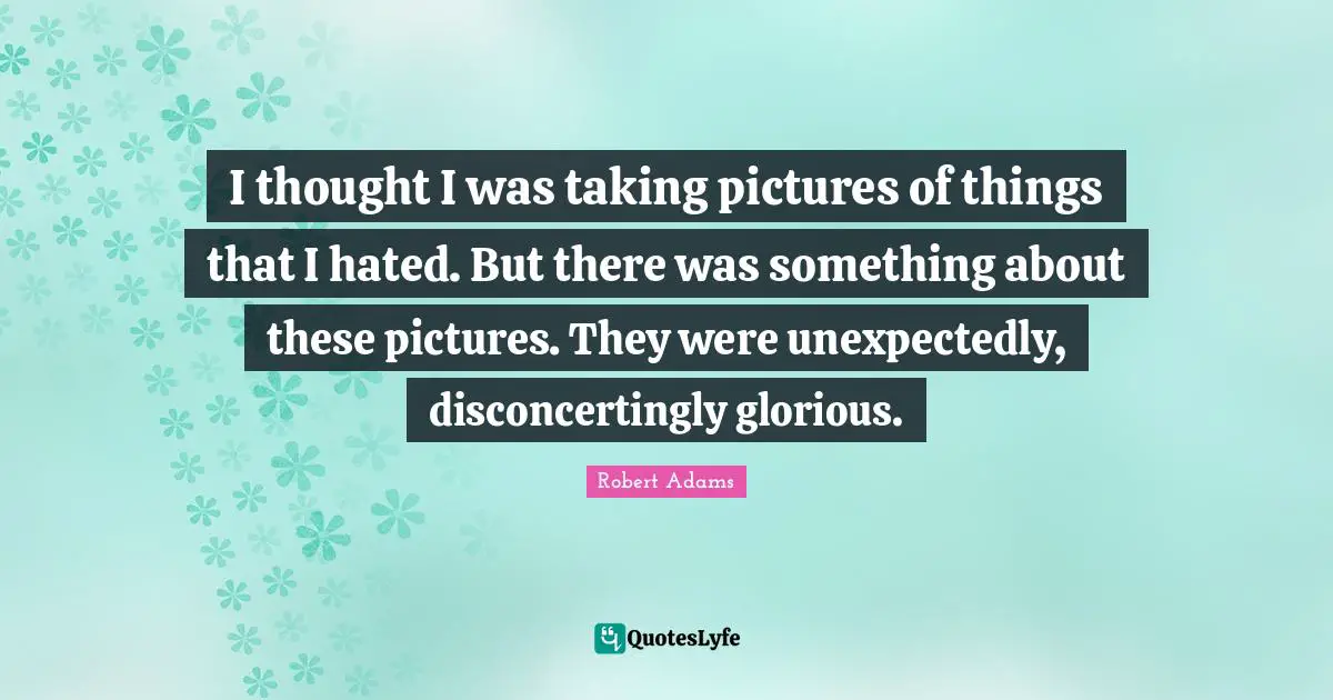 Robert Adams Quotes: "I thought I was taking pictures of things that I hated. But there was something about these pictures. They were unexpectedly, disconcertingly glorious."