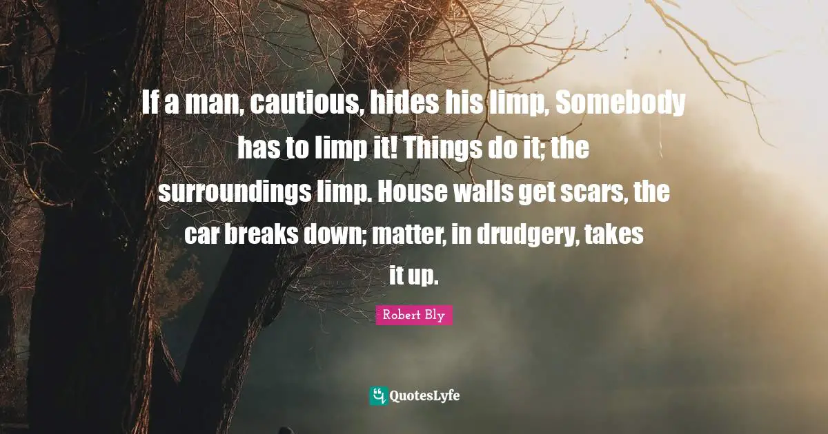 Robert Bly Quotes: "If a man, cautious, hides his limp, Somebody has to limp it! Things do it; the surroundings limp. House walls get scars, the car breaks down; matter, in drudgery, takes it up."