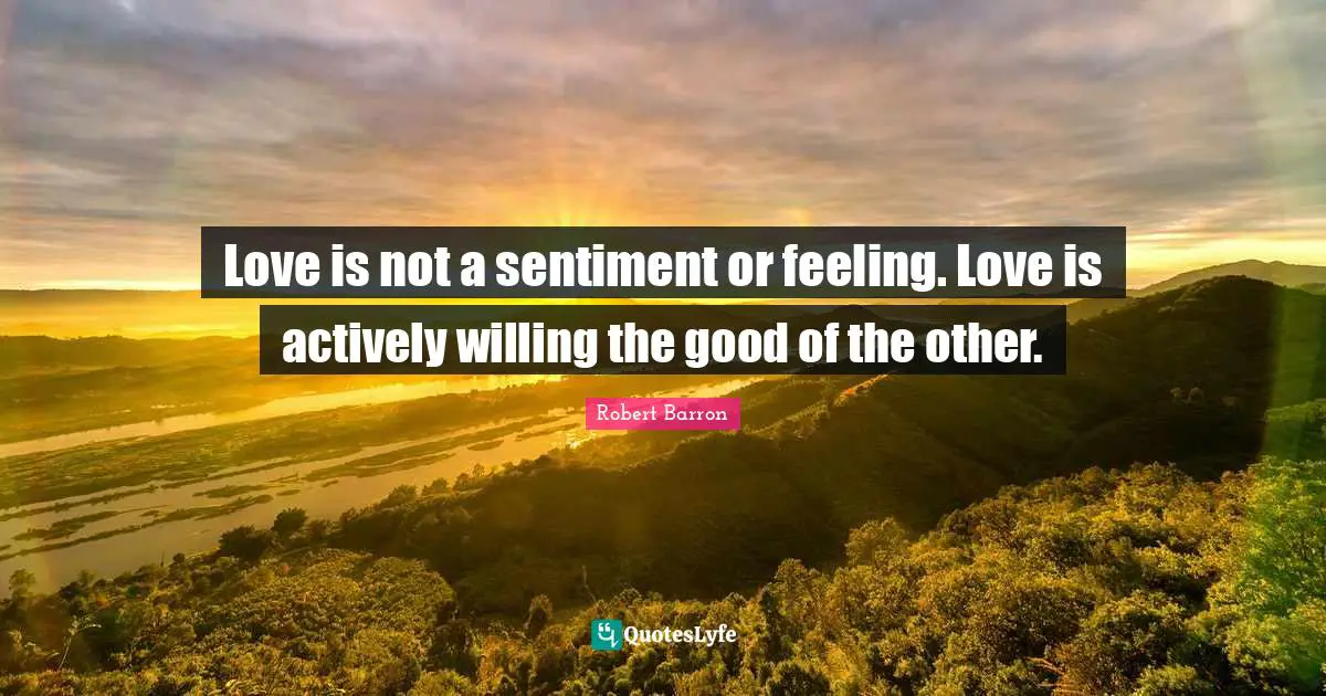 Love is not a sentiment or feeling. Love is actively willing the good of the other.