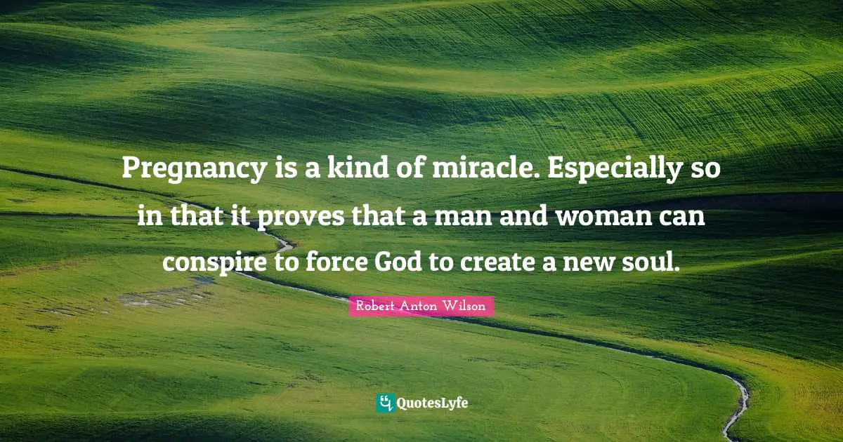 Pregnancy is a kind of miracle. Especially so in that it proves that a man and woman can conspire to force God to create a new soul.