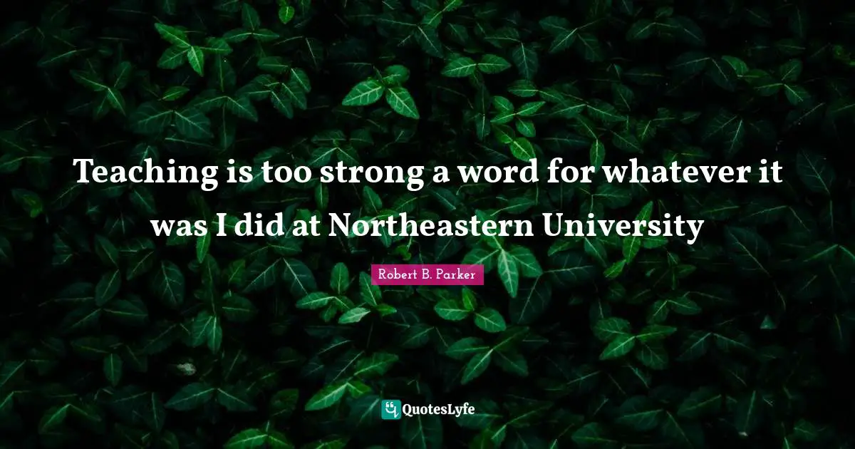 Teaching is too strong a word for whatever it was I did at Northeastern University