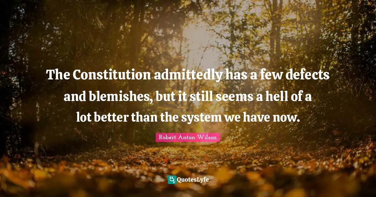 The Constitution admittedly has a few defects and blemishes, but it still seems a hell of a lot better than the system we have now.