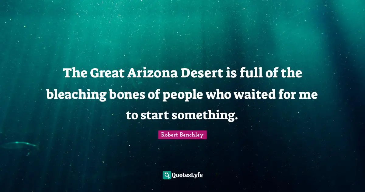 The Great Arizona Desert is full of the bleaching bones of people who waited for me to start something.