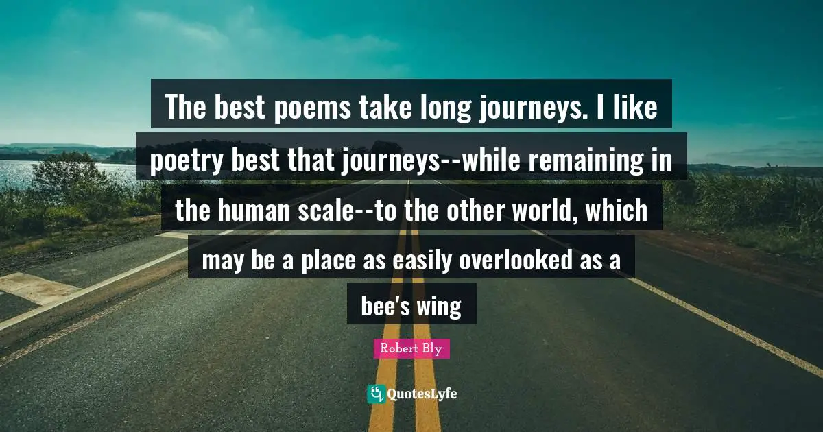 The best poems take long journeys. I like poetry best that journeys--while remaining in the human scale--to the other world, which may be a place as easily overlooked as a bee's wing