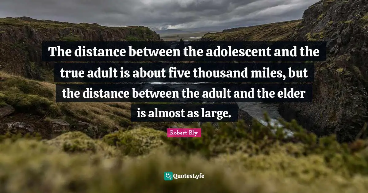 Robert Bly Quotes: "The distance between the adolescent and the true adult is about five thousand miles, but the distance between the adult and the elder is almost as large."