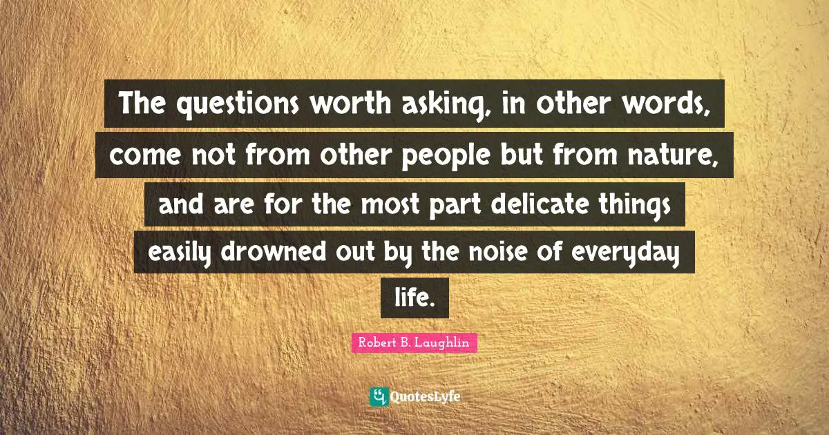 The questions worth asking, in other words, come not from other people but from nature, and are for the most part delicate things easily drowned out by the noise of everyday life.