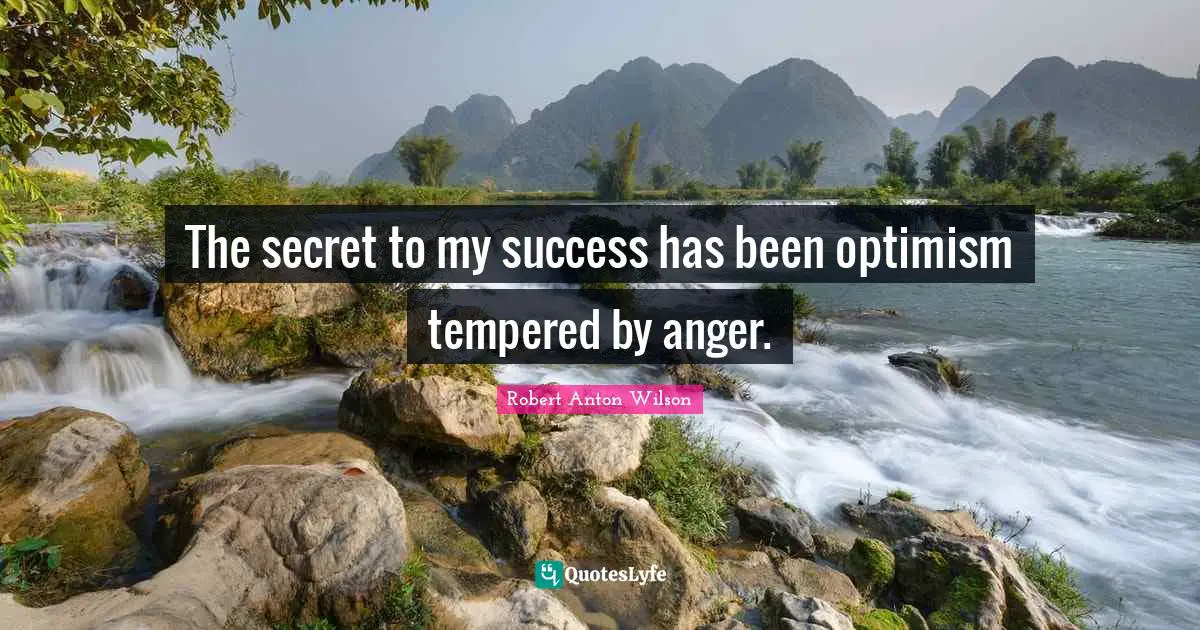 The secret to my success has been optimism tempered by anger.