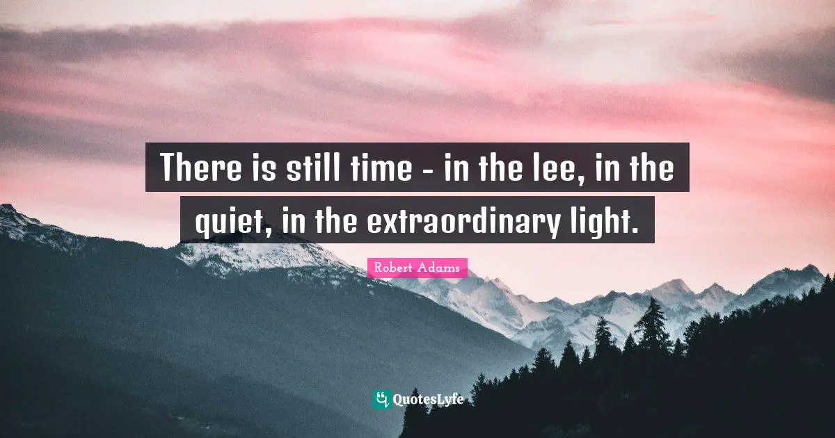 Robert Adams Quotes: "There is still time - in the lee, in the quiet, in the extraordinary light."