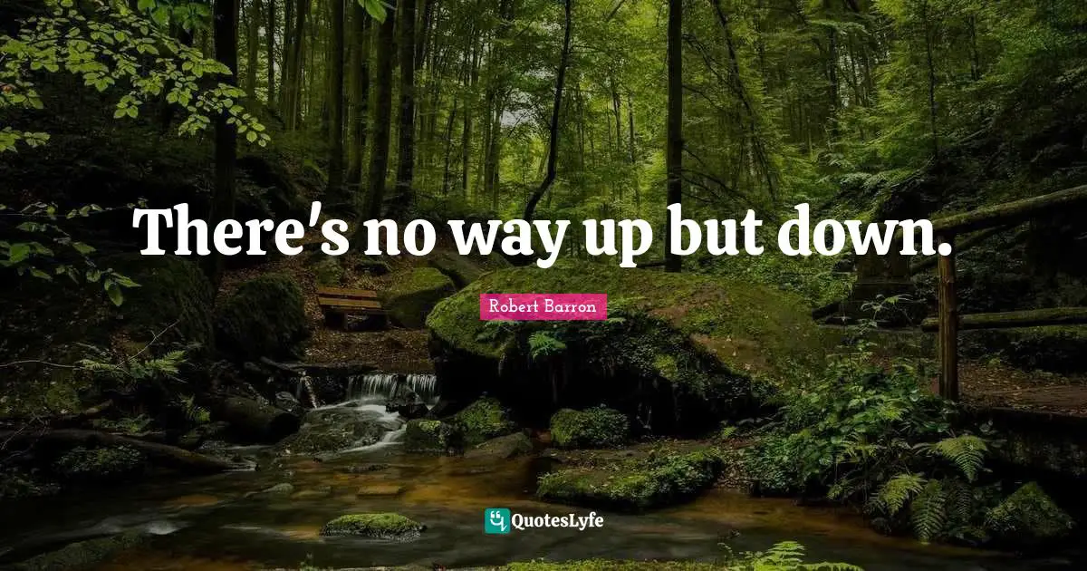 There's no way up but down.