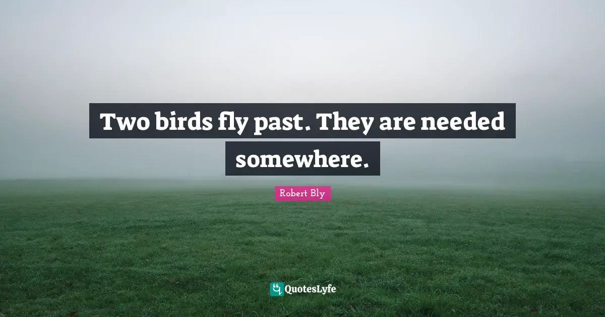 Robert Bly Quotes: "Two birds fly past. They are needed somewhere."