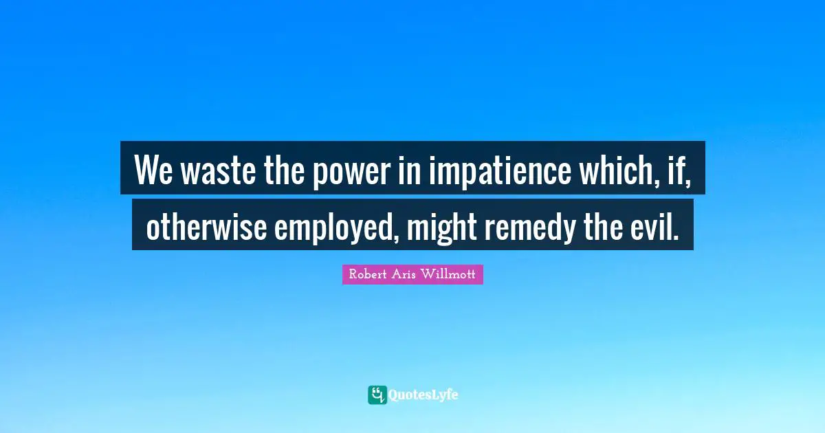 We waste the power in impatience which, if, otherwise employed, might remedy the evil.