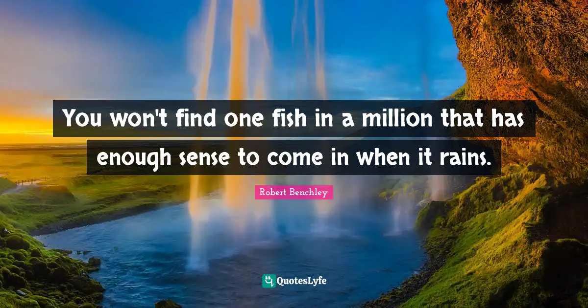 You won't find one fish in a million that has enough sense to come in when it rains.