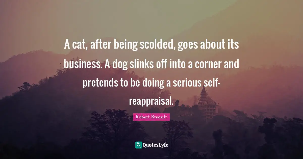 A cat, after being scolded, goes about its business. A dog slinks off into a corner and pretends to be doing a serious self-reappraisal.