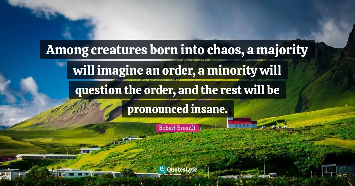 Among creatures born into chaos, a majority will imagine an order, a minority will question the order, and the rest will be pronounced insane.