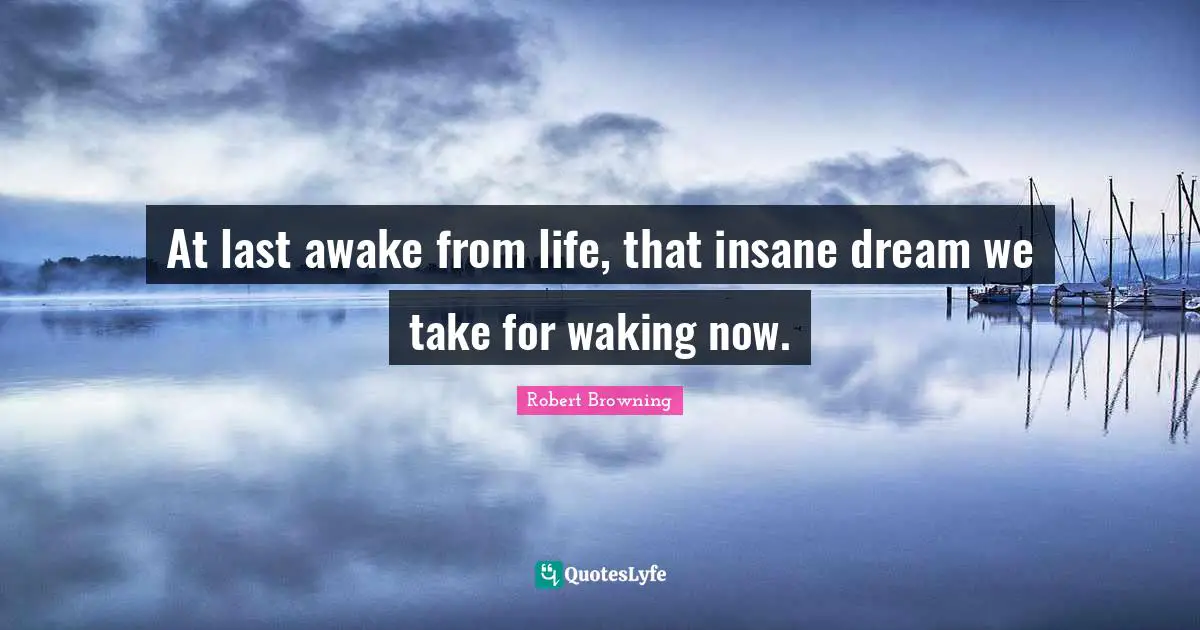 At last awake from life, that insane dream we take for waking now.