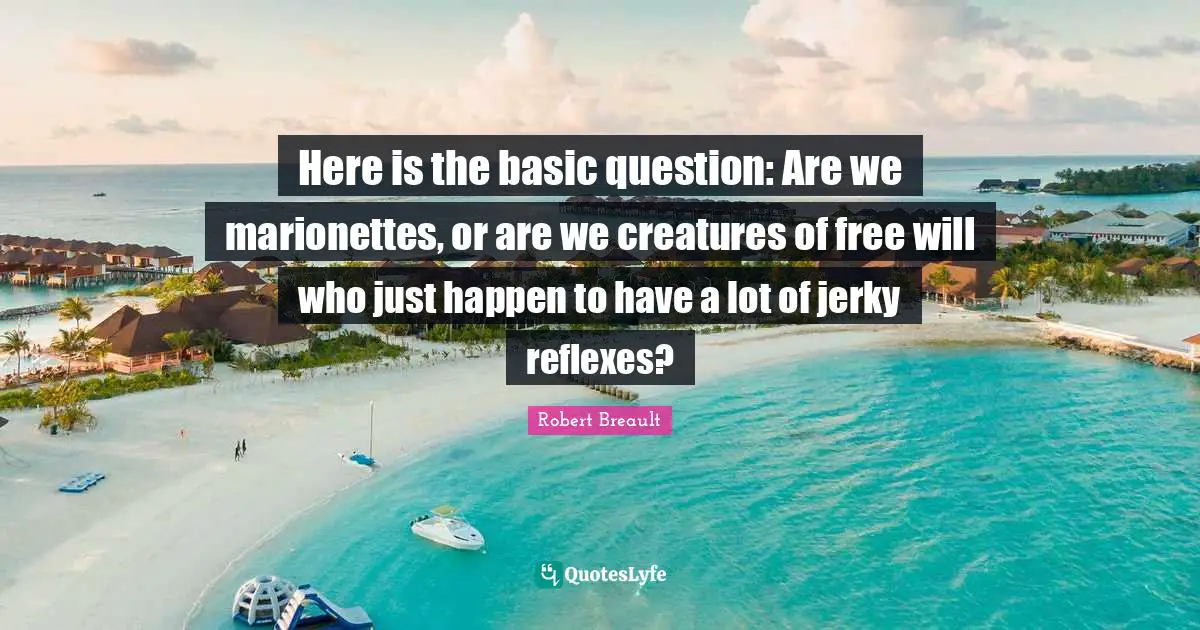 Here is the basic question: Are we marionettes, or are we creatures of free will who just happen to have a lot of jerky reflexes?
