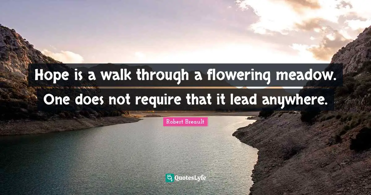 Hope is a walk through a flowering meadow. One does not require that it lead anywhere.