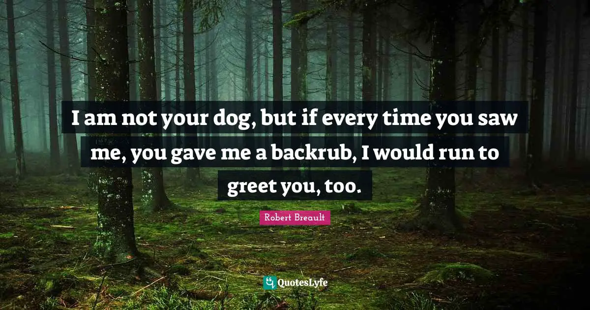 I am not your dog, but if every time you saw me, you gave me a backrub, I would run to greet you, too.