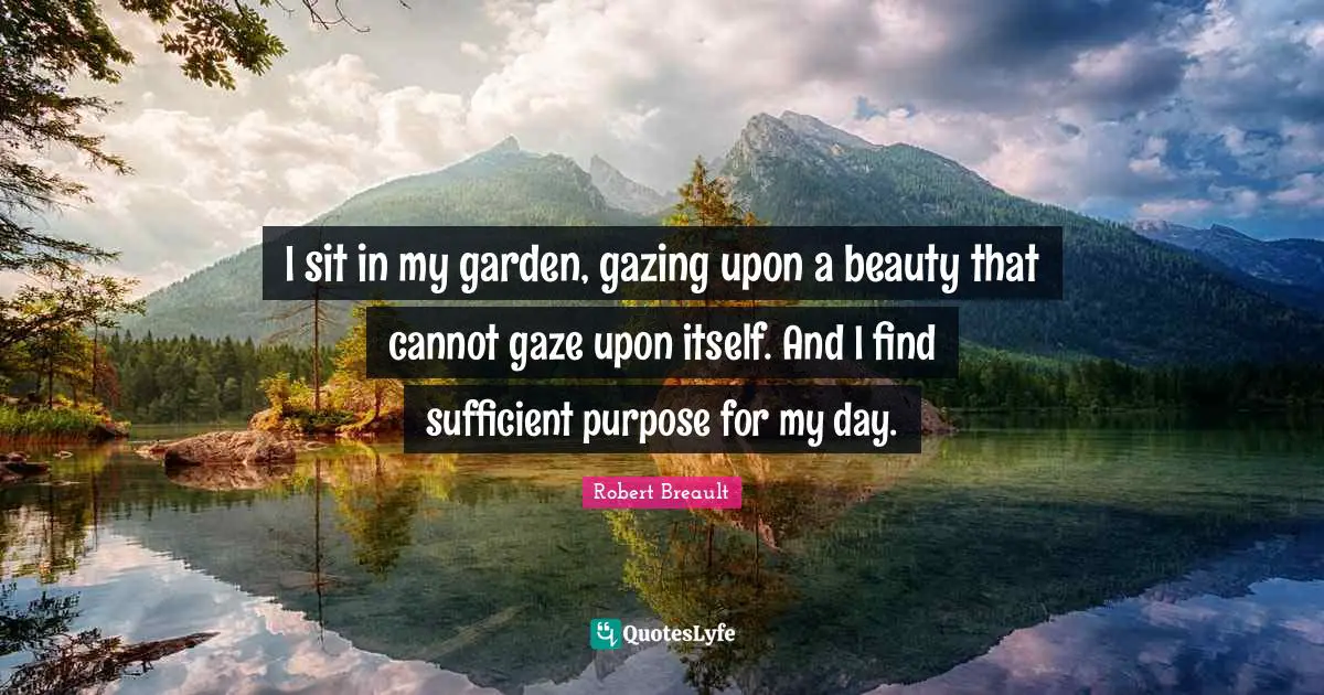 I sit in my garden, gazing upon a beauty that cannot gaze upon itself. And I find sufficient purpose for my day.