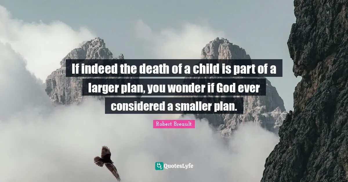 If indeed the death of a child is part of a larger plan, you wonder if God ever considered a smaller plan.
