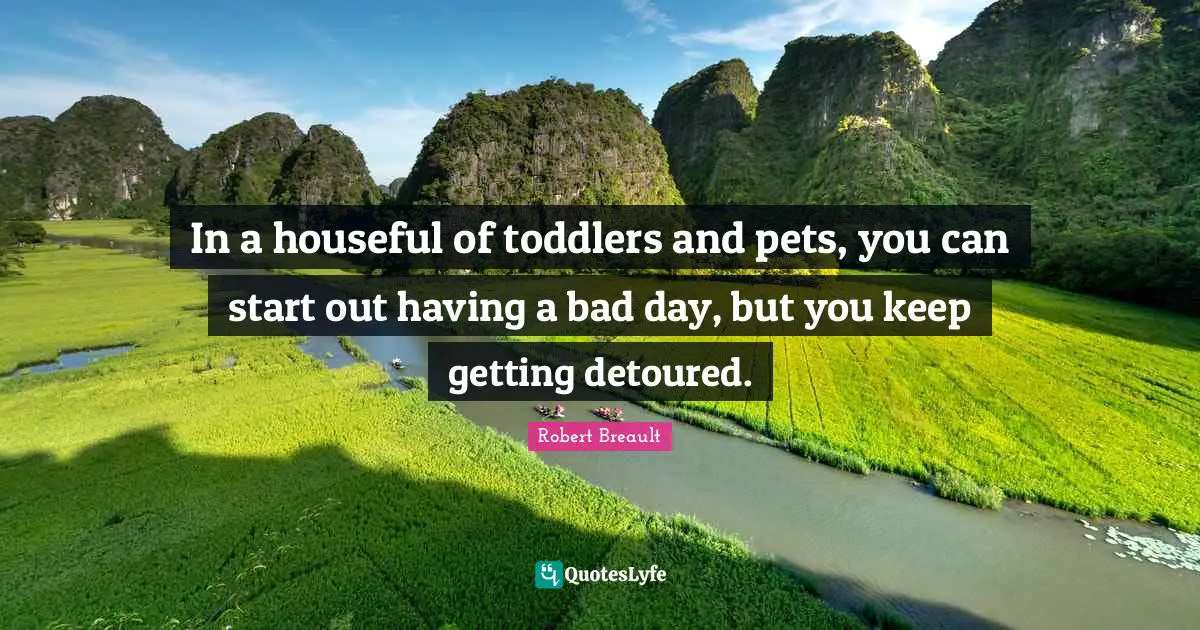 Having A Bad Day Quotes: "In a houseful of toddlers and pets, you can start out having a bad day, but you keep getting detoured."