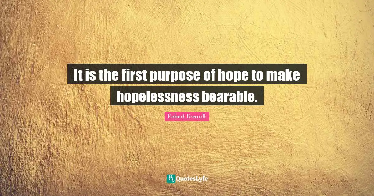 It is the first purpose of hope to make hopelessness bearable.