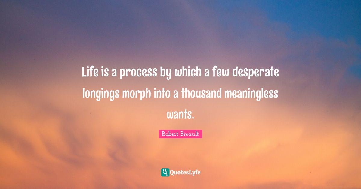 Life is a process by which a few desperate longings morph into a thousand meaningless wants.