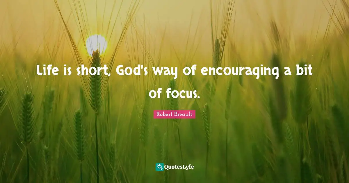 Seize Quotes: "Life is short, God's way of encouraging a bit of focus."