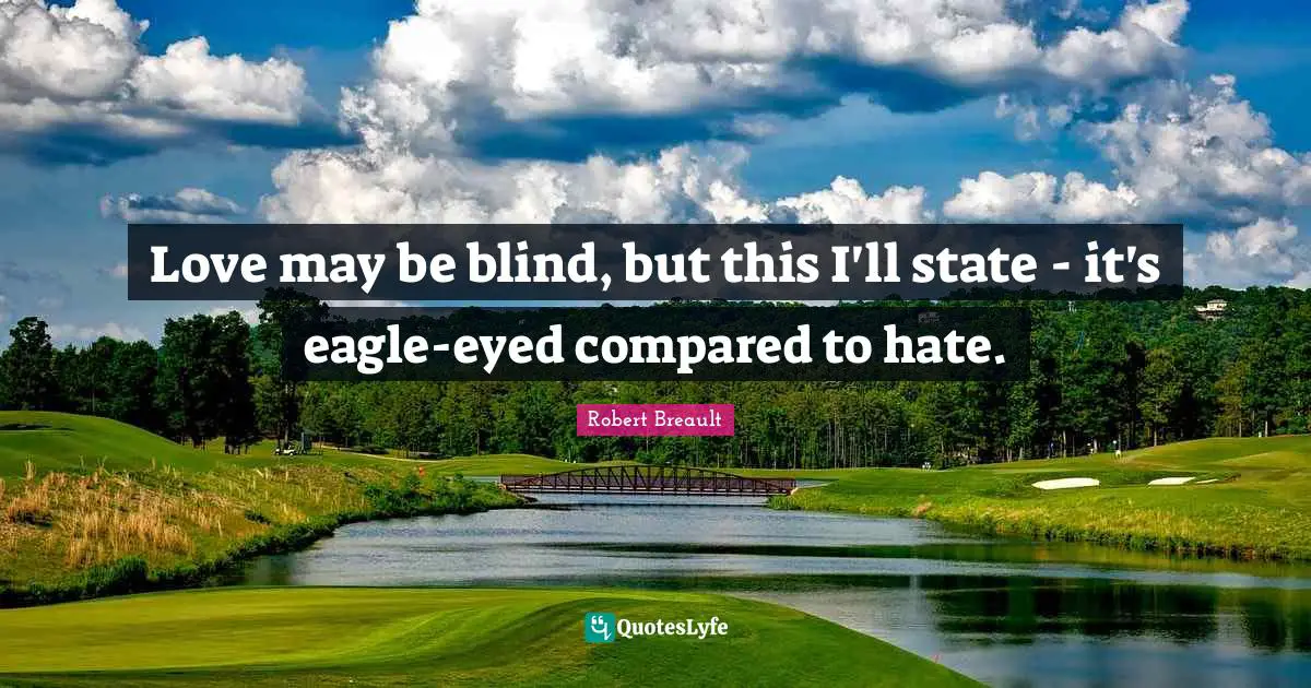 Love may be blind, but this I'll state - it's eagle-eyed compared to hate.