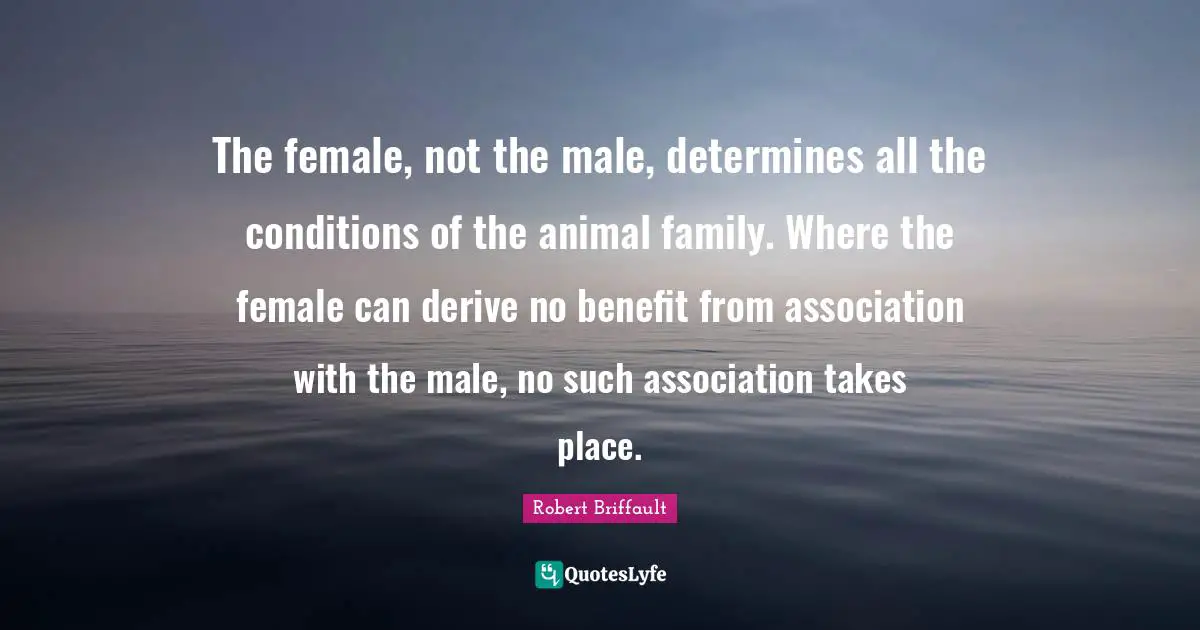 The female, not the male, determines all the conditions of the animal family. Where the female can derive no benefit from association with the male, no such association takes place.