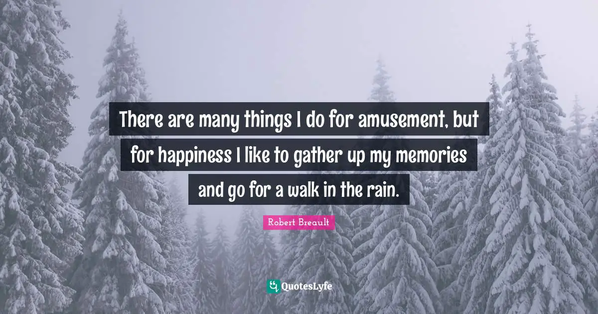 There are many things I do for amusement, but for happiness I like to gather up my memories and go for a walk in the rain.