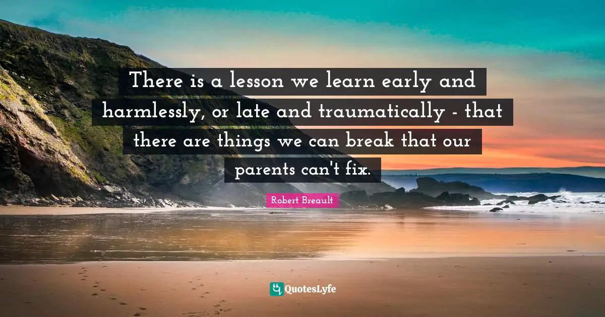 There is a lesson we learn early and harmlessly, or late and traumatically - that there are things we can break that our parents can't fix.