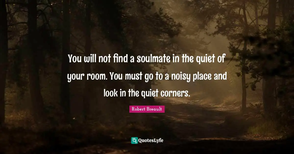 You will not find a soulmate in the quiet of your room. You must go to a noisy place and look in the quiet corners.