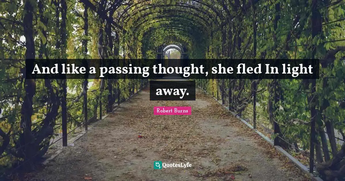 And like a passing thought, she fled In light away.