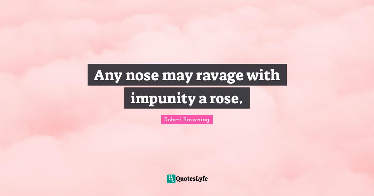 Any nose may ravage with impunity a rose.