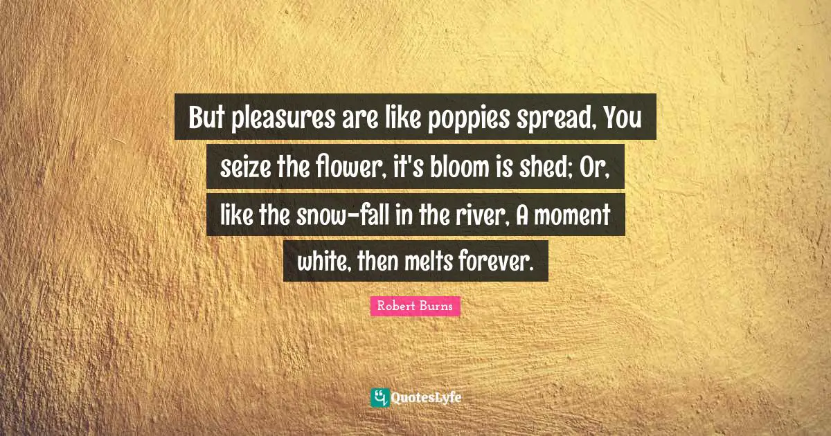 White Quotes: "But pleasures are like poppies spread, You seize the flower, it's bloom is shed; Or, like the snow-fall in the river, A moment white, then melts forever."
