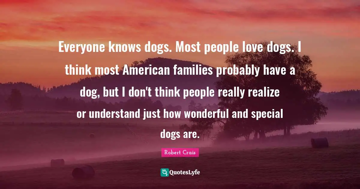 Everyone knows dogs. Most people love dogs. I think most American families probably have a dog, but I don't think people really realize or understand just how wonderful and special dogs are.