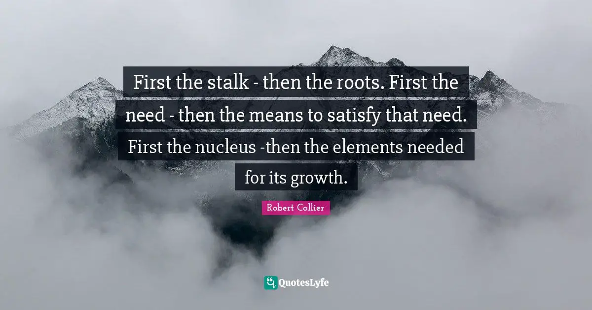First the stalk - then the roots. First the need - then the means to satisfy that need. First the nucleus -then the elements needed for its growth.