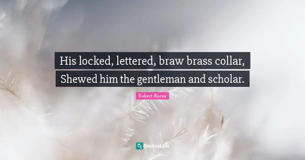 Robert Burns Quotes: "His locked, lettered, braw brass collar, Shewed him the gentleman and scholar."