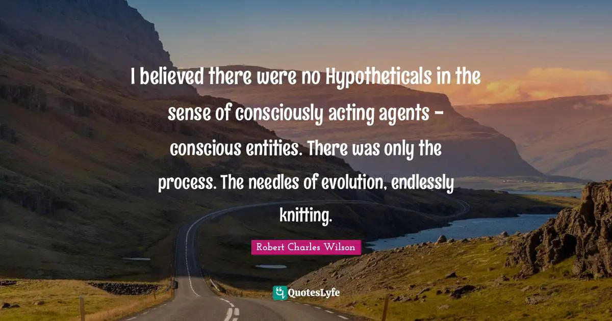 I believed there were no Hypotheticals in the sense of consciously acting agents - conscious entities. There was only the process. The needles of evolution, endlessly knitting.