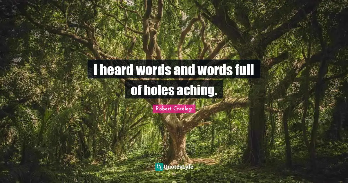 I heard words and words full of holes aching.