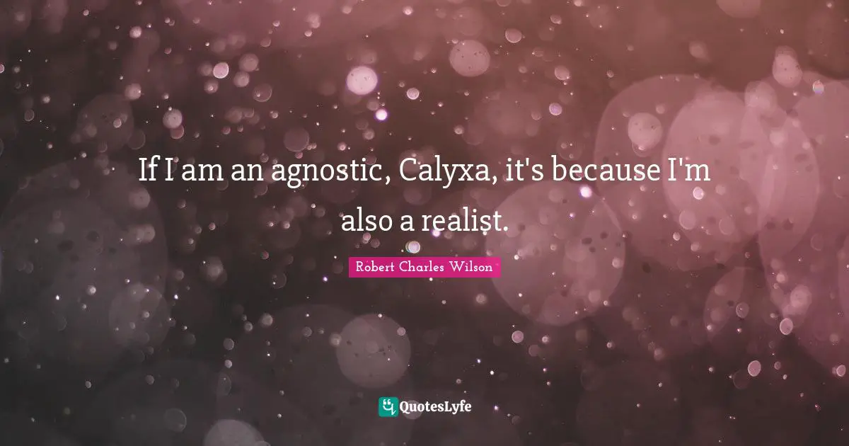 If I am an agnostic, Calyxa, it's because I'm also a realist.
