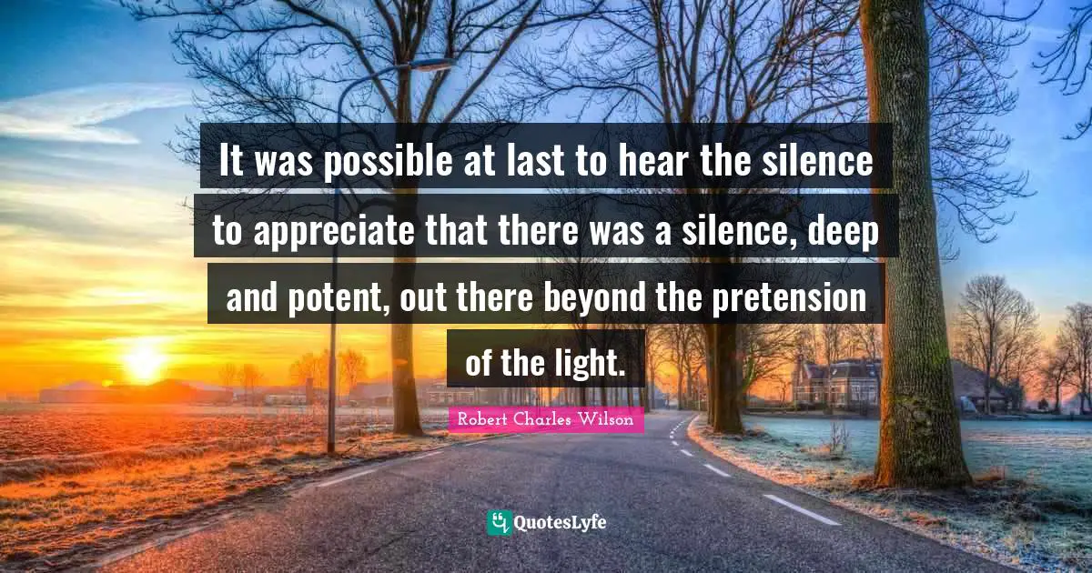 It was possible at last to hear the silence to appreciate that there was a silence, deep and potent, out there beyond the pretension of the light.