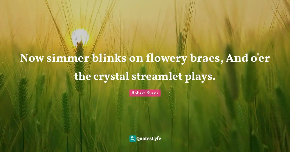 Now simmer blinks on flowery braes, And o'er the crystal streamlet plays.