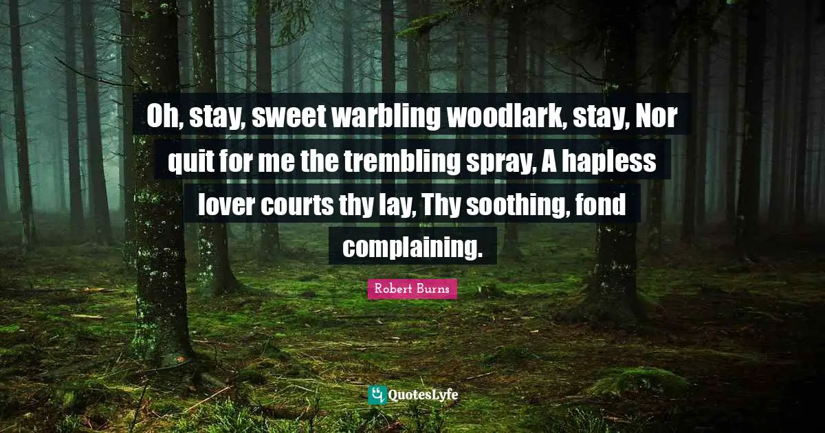 Oh, stay, sweet warbling woodlark, stay, Nor quit for me the trembling spray, A hapless lover courts thy lay, Thy soothing, fond complaining.