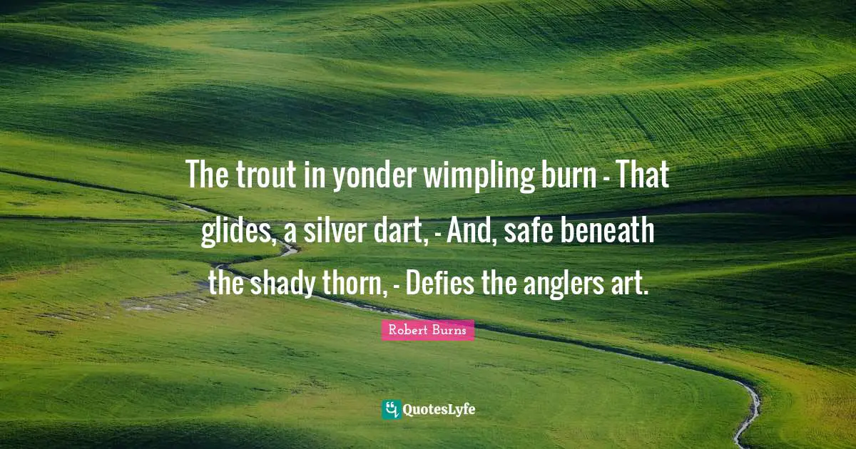 Robert Burns Quotes: "The trout in yonder wimpling burn - That glides, a silver dart, - And, safe beneath the shady thorn, - Defies the anglers art."